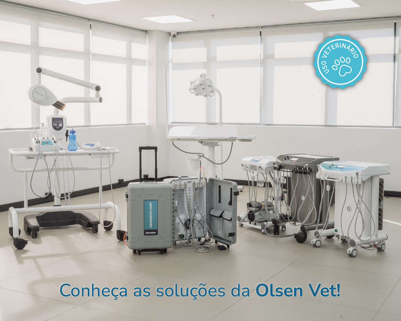 Capas Blog-Email SETEMBRO_blog-05 Capas Blog-Email SETEMBRO_blog-05